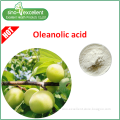 Acidum Oleanolicum extract powder